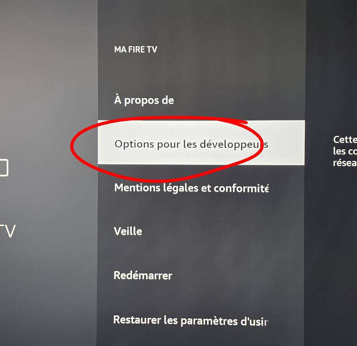 Options pour les développeurs
